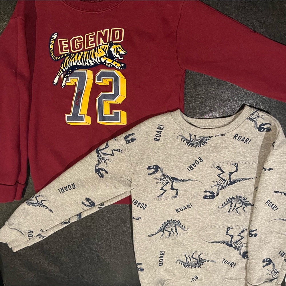 2 Kids Sweatshirts